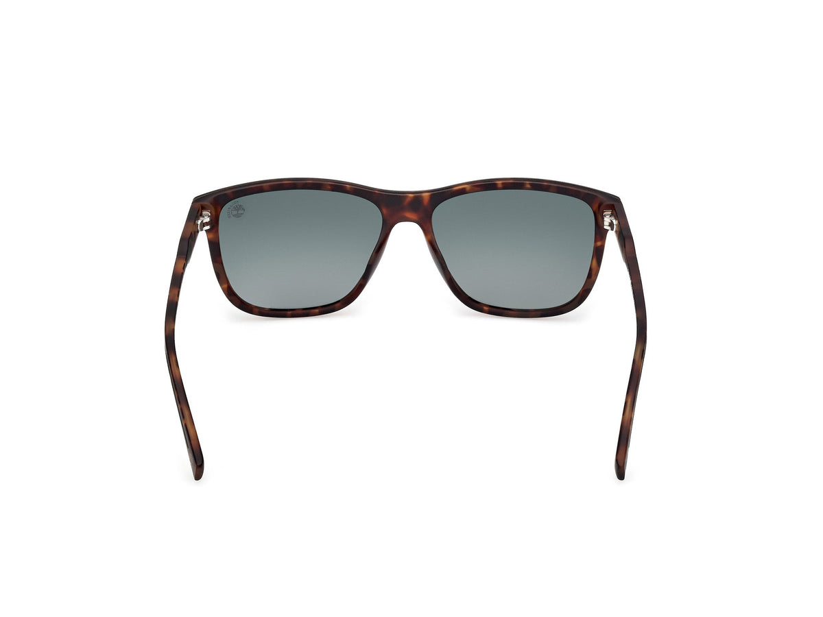 Gafas de Sol Timberland TB52-H 52D 56 15