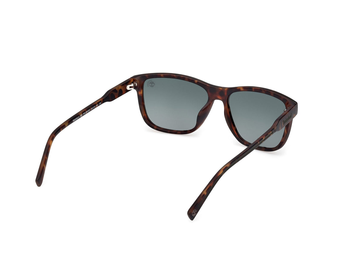Gafas de Sol Timberland TB52-H 52D 56 15
