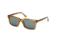 Gafas de Sol Web WE388 39N 55 22