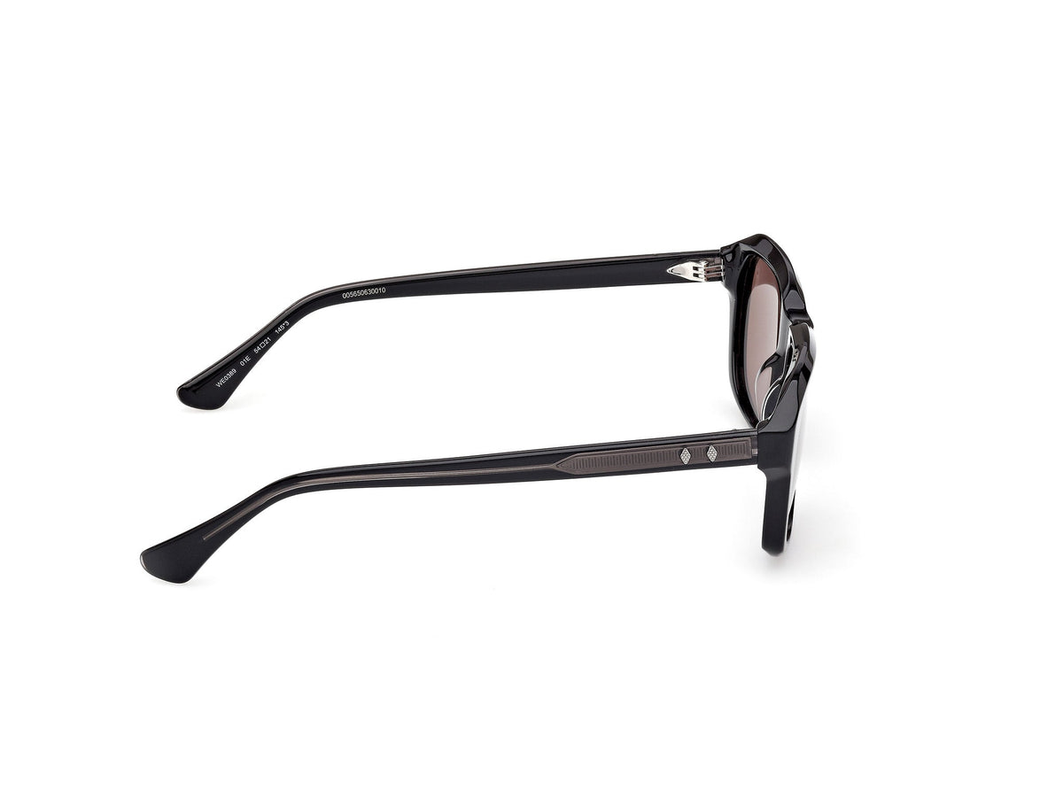 Gafas de Sol Web WE389 01E 54 21