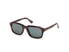 Gafas de Sol Web WE389 52N 54 21