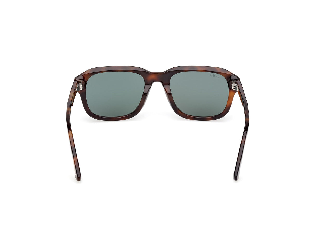 Gafas de Sol Web WE389 52N 54 21