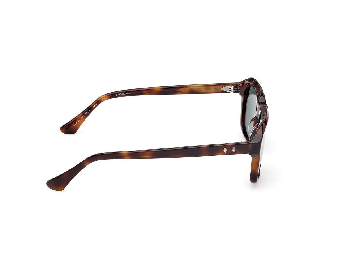 Gafas de Sol Web WE389 52N 54 21