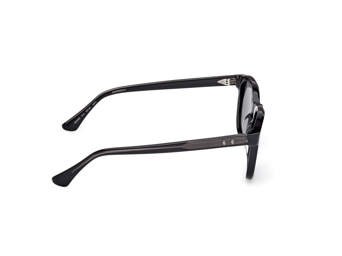 Gafas de Sol Web WE390 01A 53 23