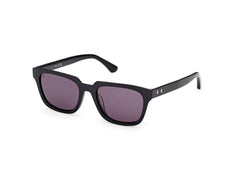 Gafas de Sol Web WE391 01A 53 19