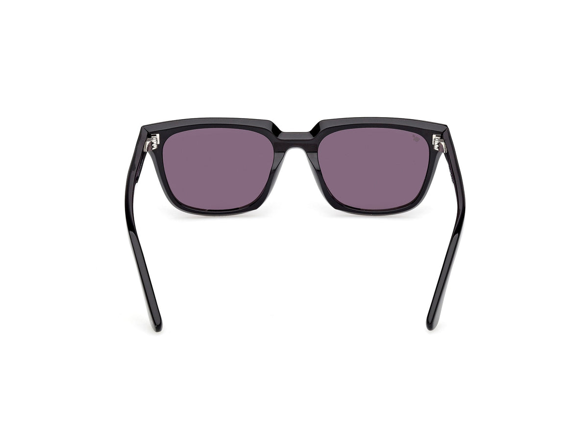 Gafas de Sol Web WE391 01A 53 19