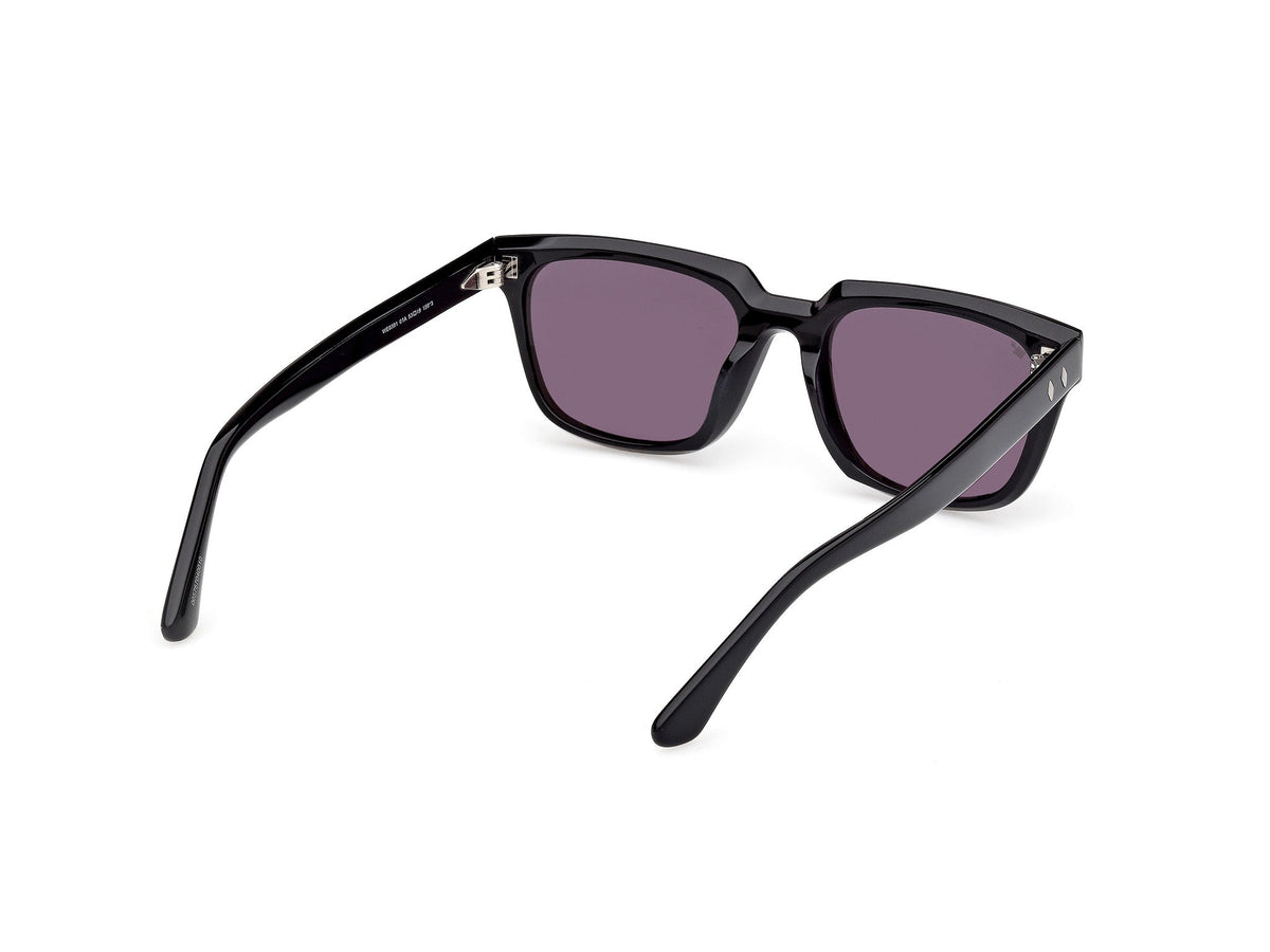 Gafas de Sol Web WE391 01A 53 19