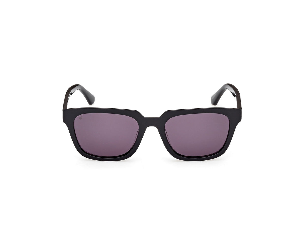 Gafas de Sol Web WE391 01A 53 19