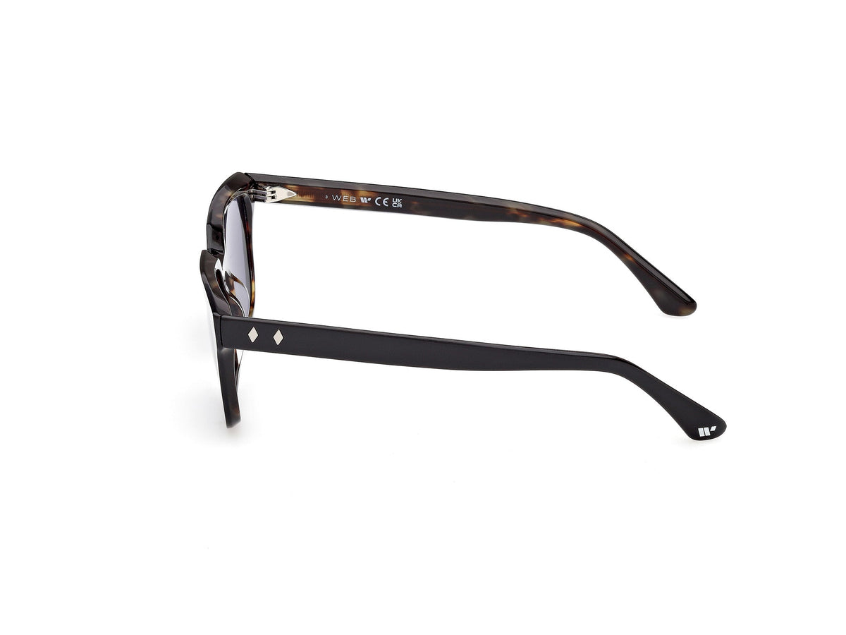 Gafas de Sol Web WE391 05V 53 19