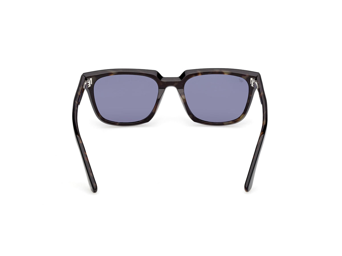 Gafas de Sol Web WE391 05V 53 19