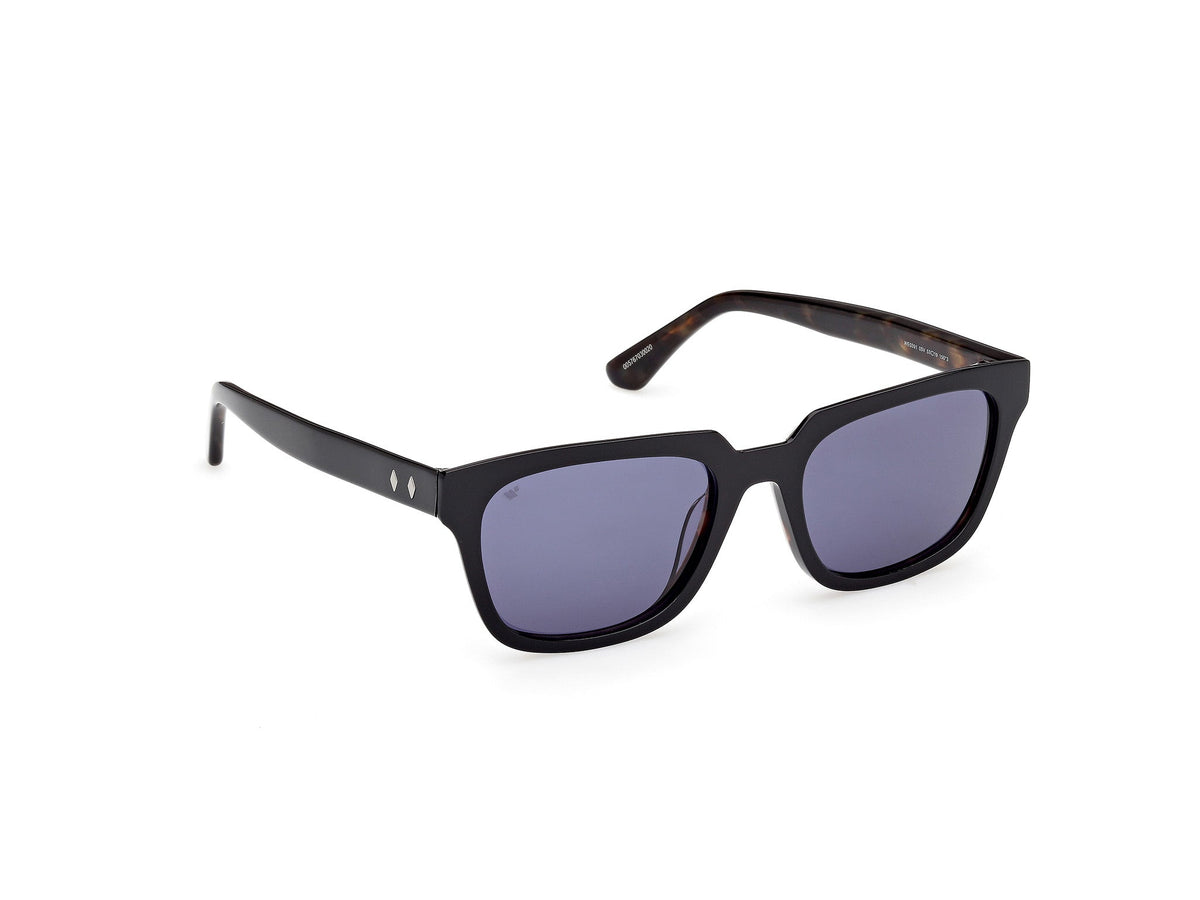Gafas de Sol Web WE391 05V 53 19