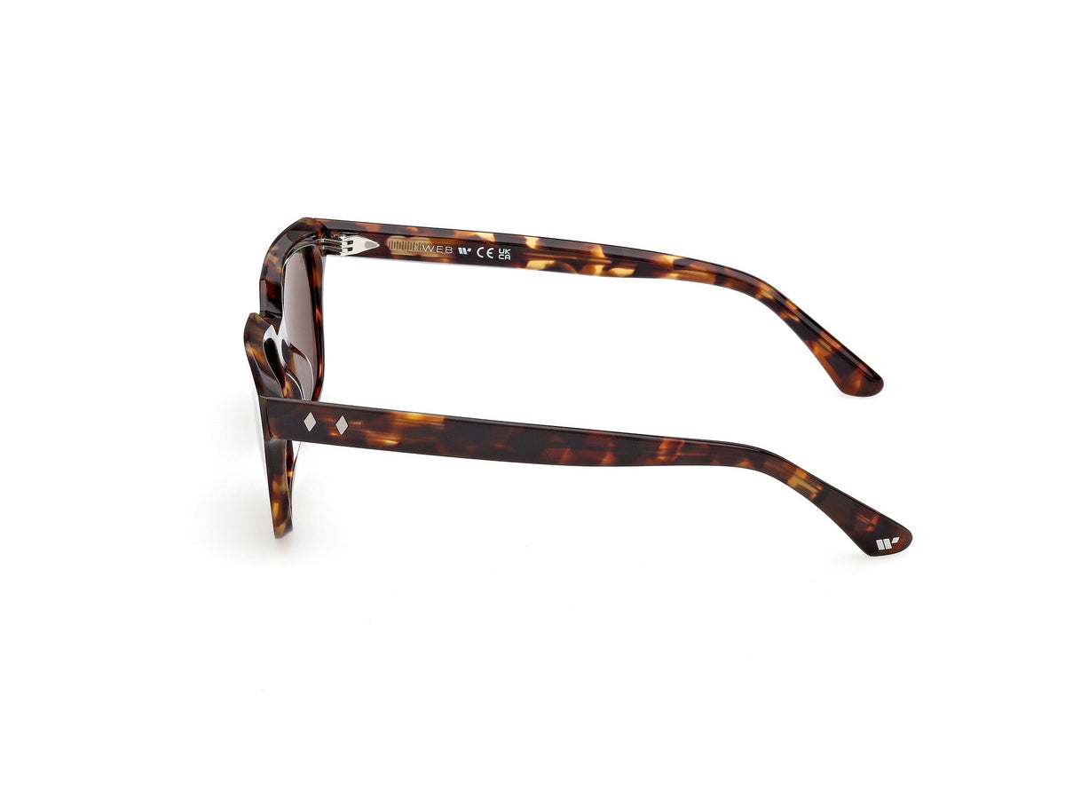 Gafas de Sol Web WE391 52N 53 19