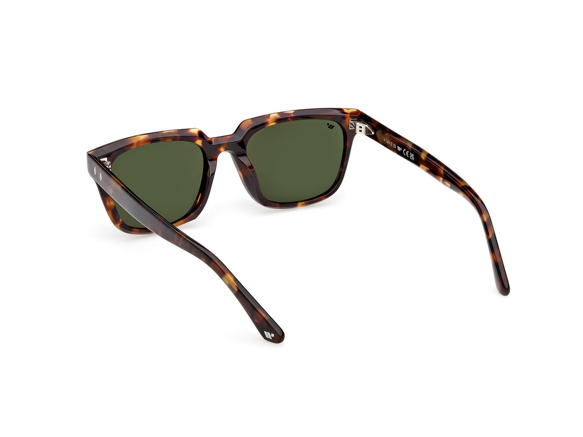 Gafas de Sol Web WE391 52N 53 19