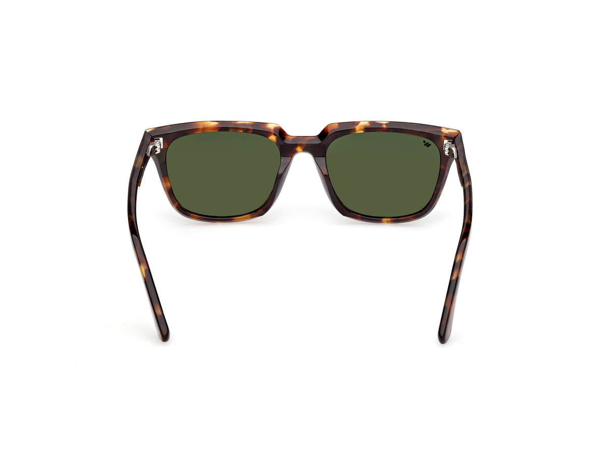 Gafas de Sol Web WE391 52N 53 19