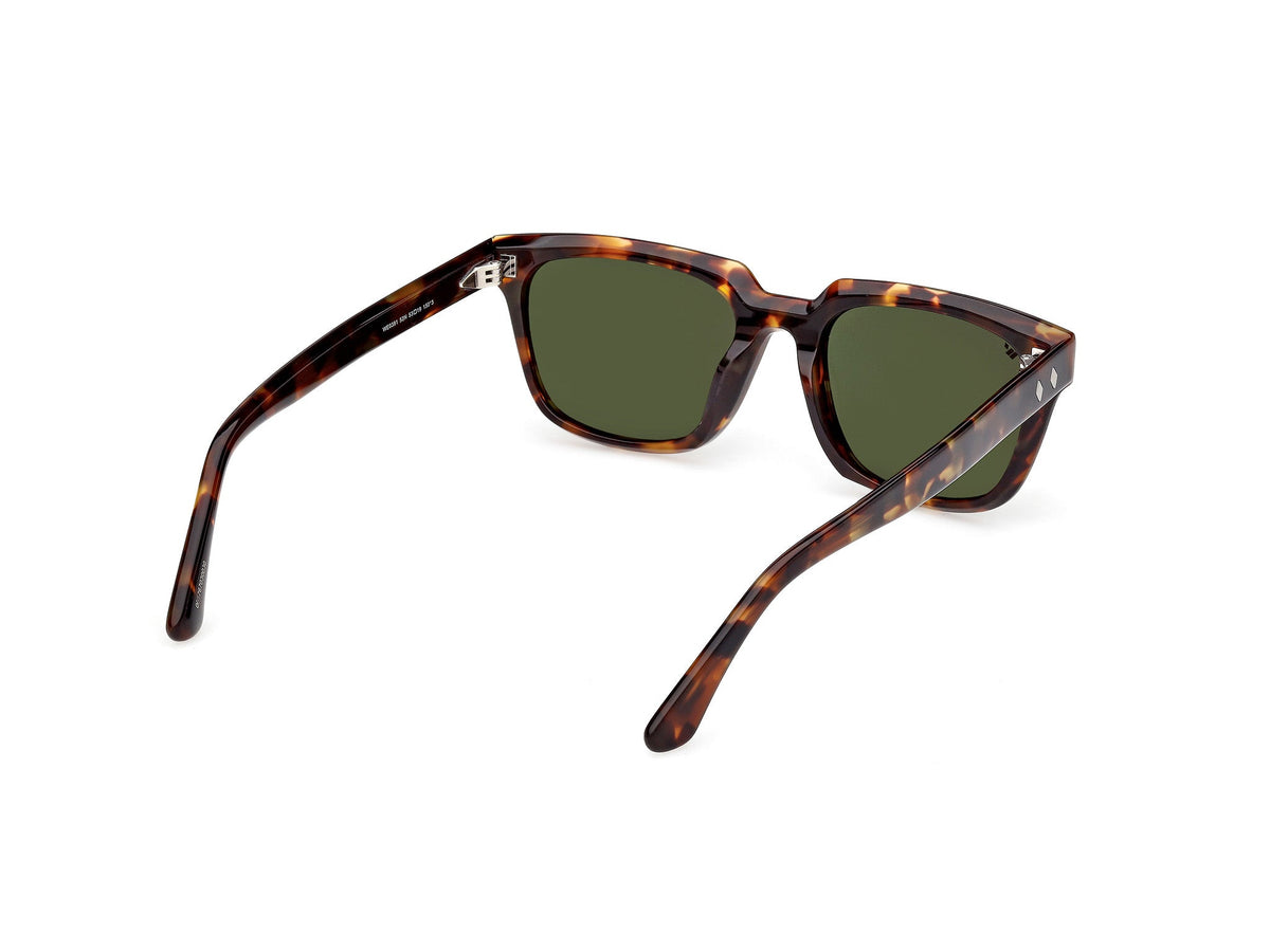 Gafas de Sol Web WE391 52N 53 19