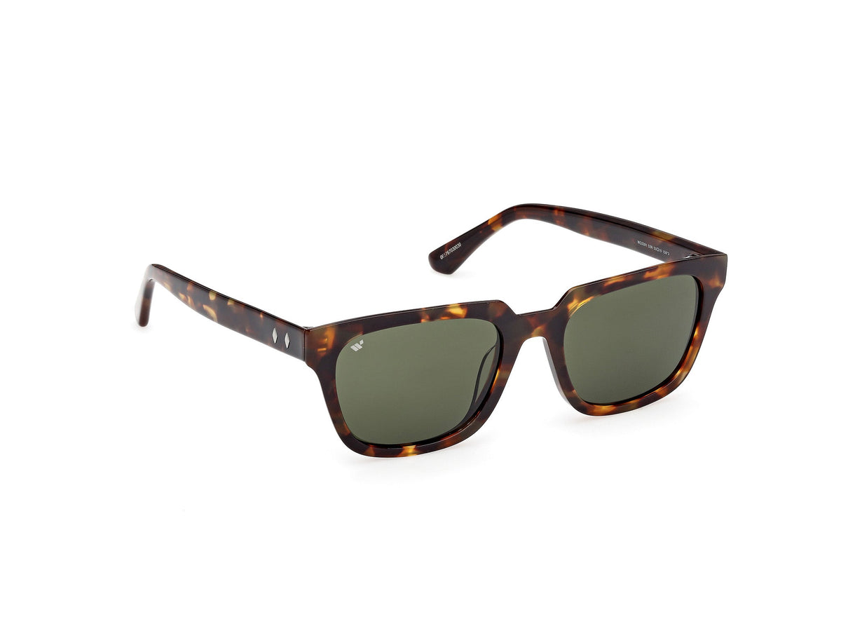 Gafas de Sol Web WE391 52N 53 19