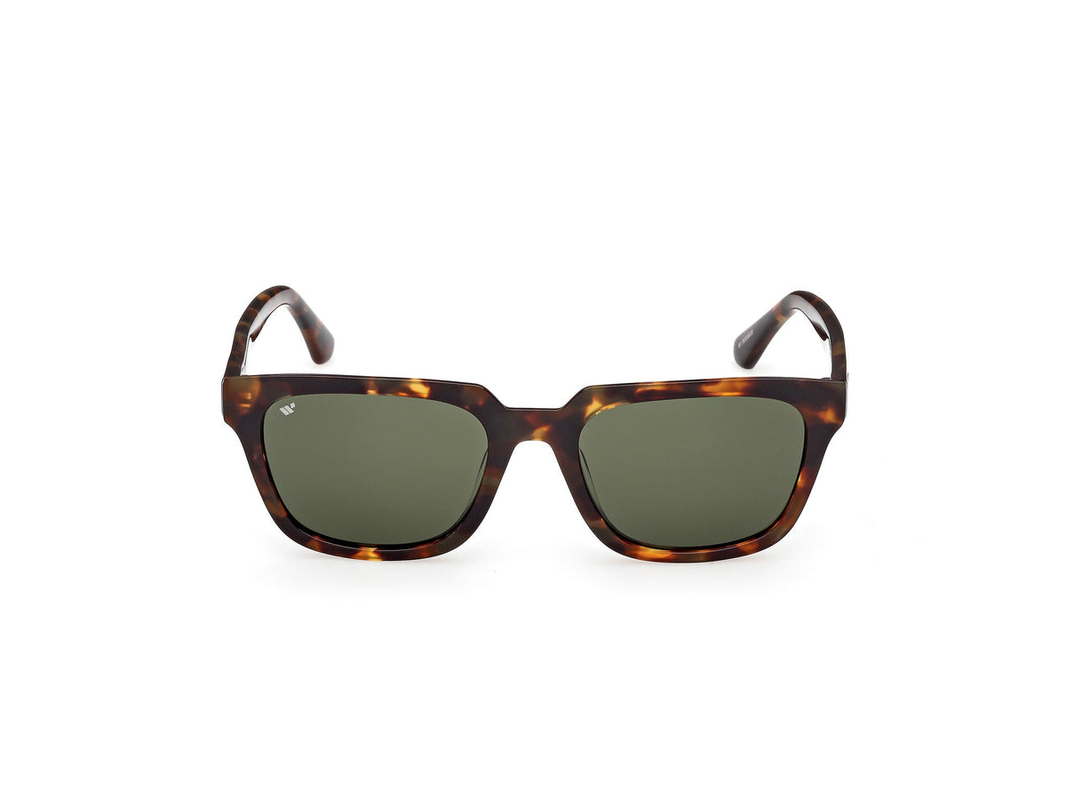 Gafas de Sol Web WE391 52N 53 19