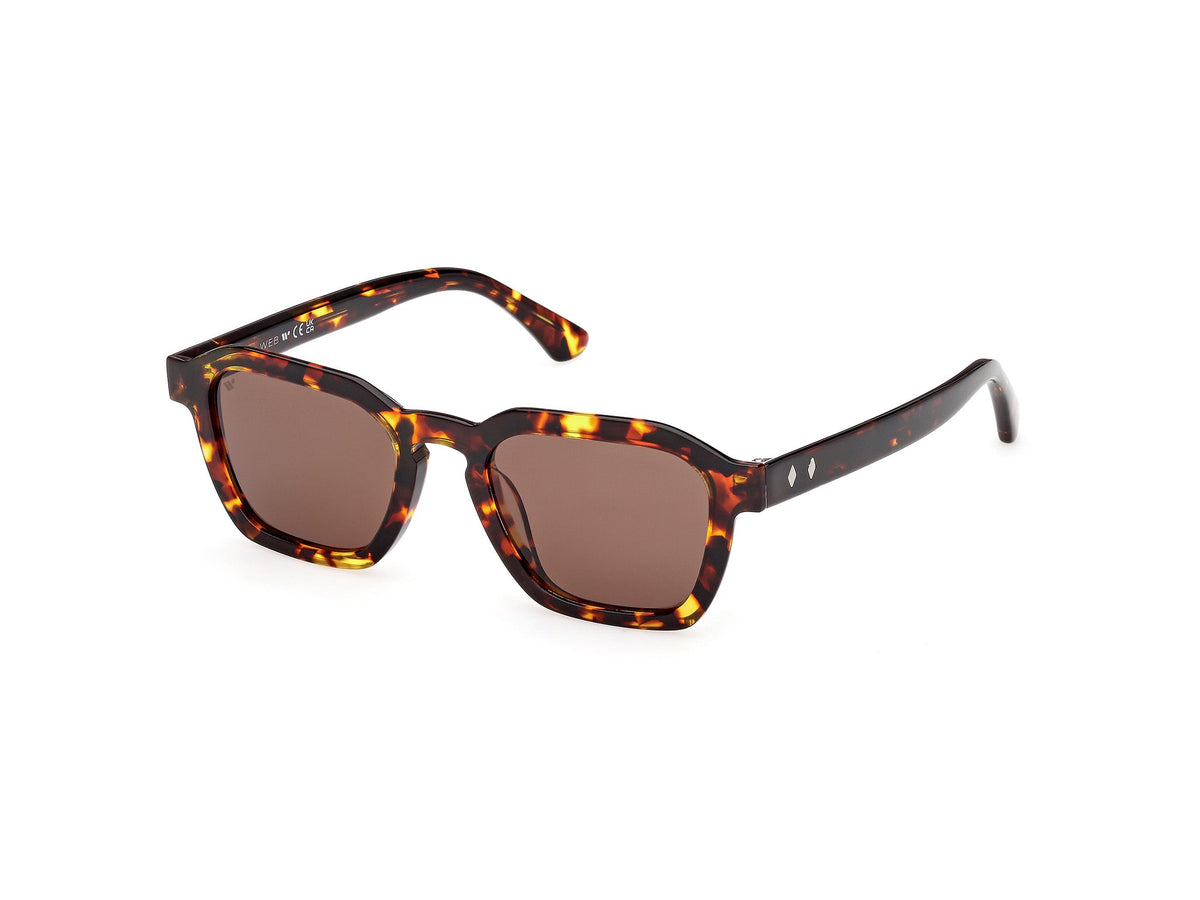 Gafas de Sol Web WE392 55E 50 20