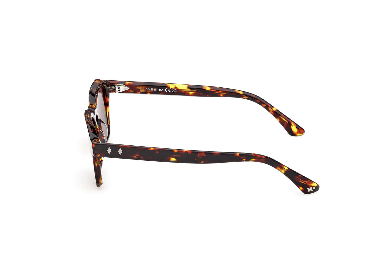 Gafas de Sol Web WE392 55E 50 20