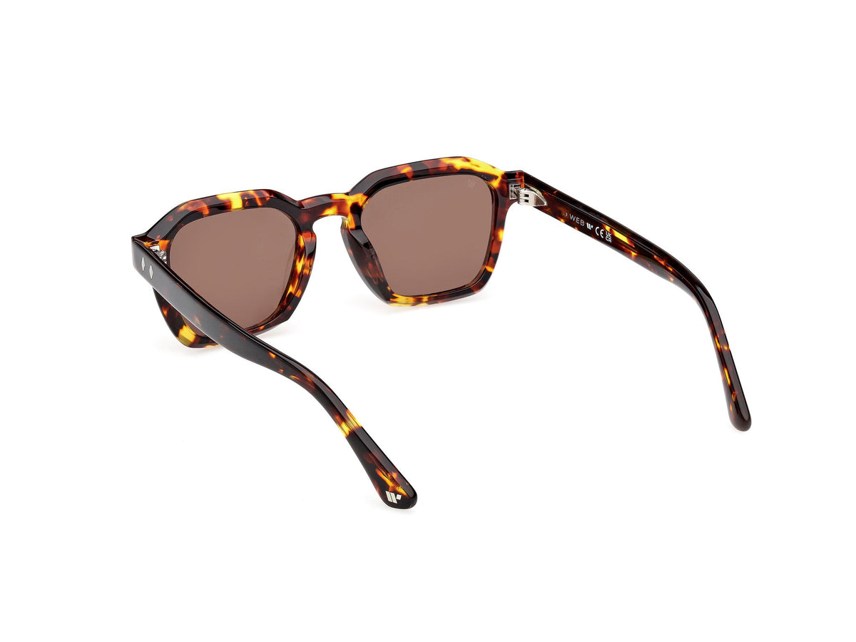 Gafas de Sol Web WE392 55E 50 20