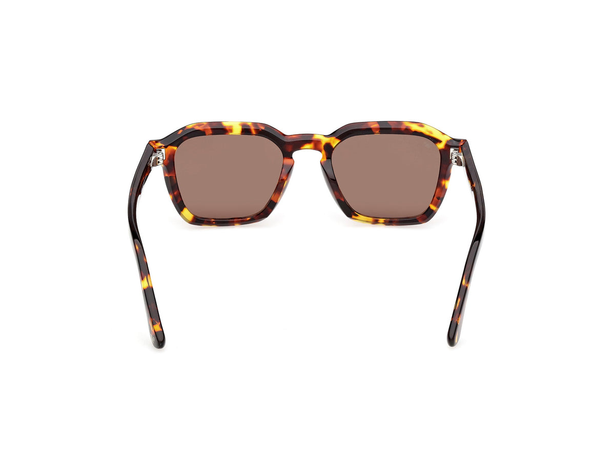 Gafas de Sol Web WE392 55E 50 20
