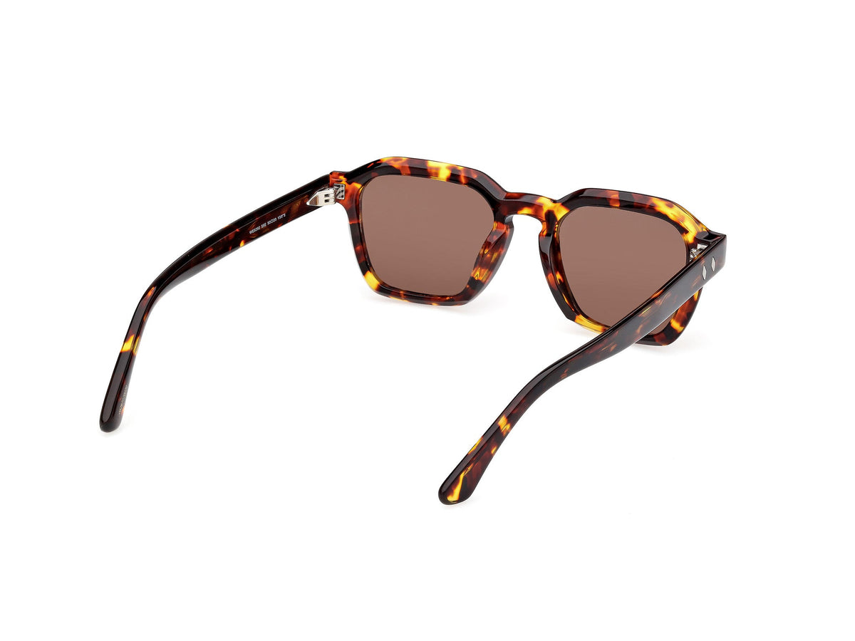 Gafas de Sol Web WE392 55E 50 20