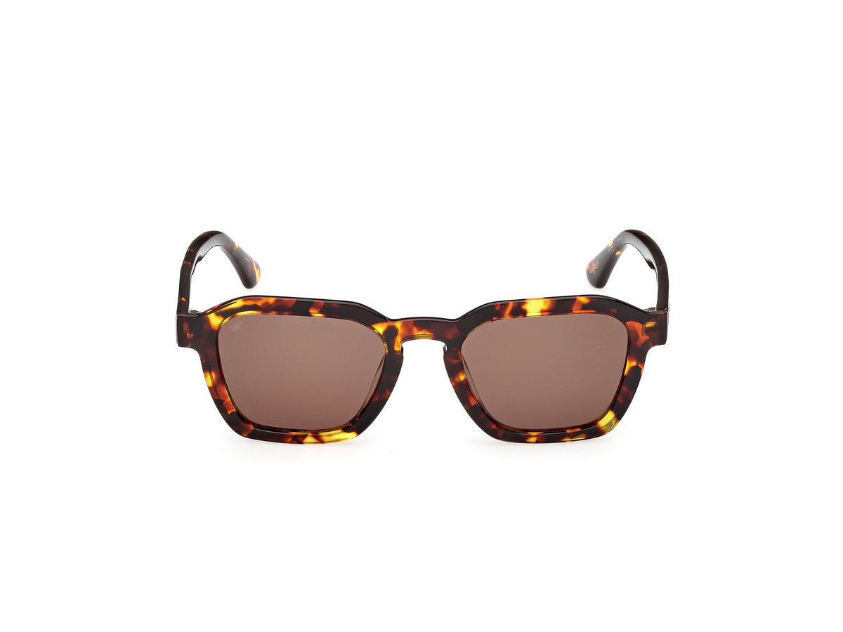 Gafas de Sol Web WE392 55E 50 20
