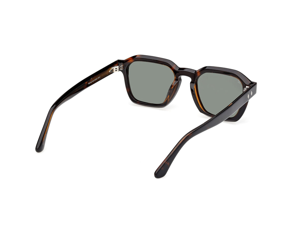 Gafas de Sol Web WE392 56N 50 20