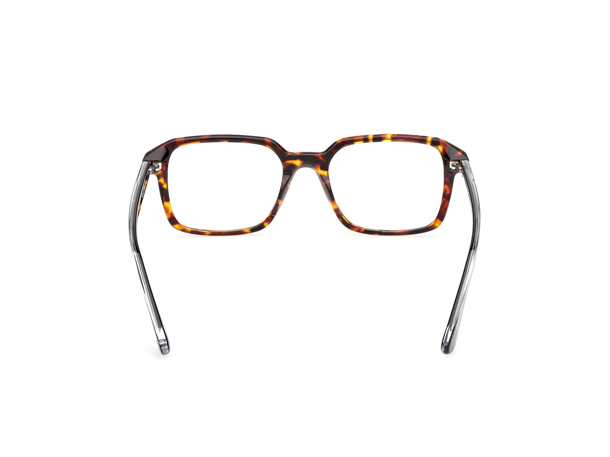 Gafas Graduadas Web WE5463 056 53 19