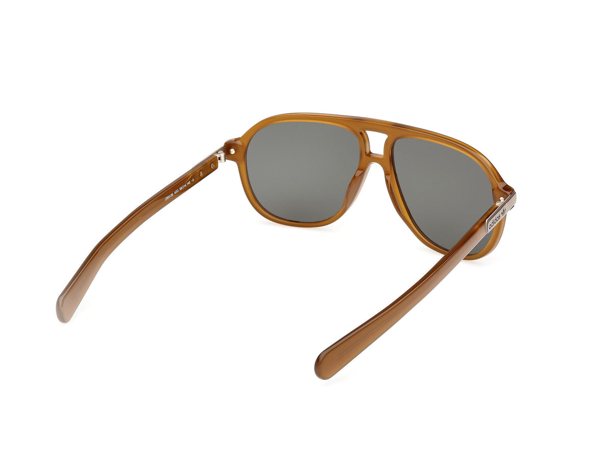Sunglasses Adidas OR136 42Q 58 14