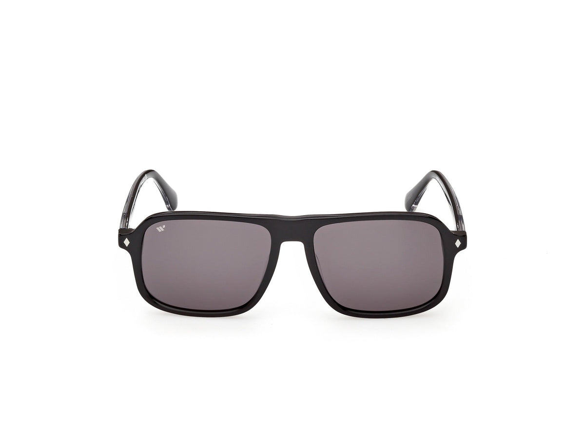 Gafas de Sol Web WE396 05A 56 16