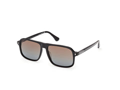 Gafas de Sol Web WE396 05F 56 16