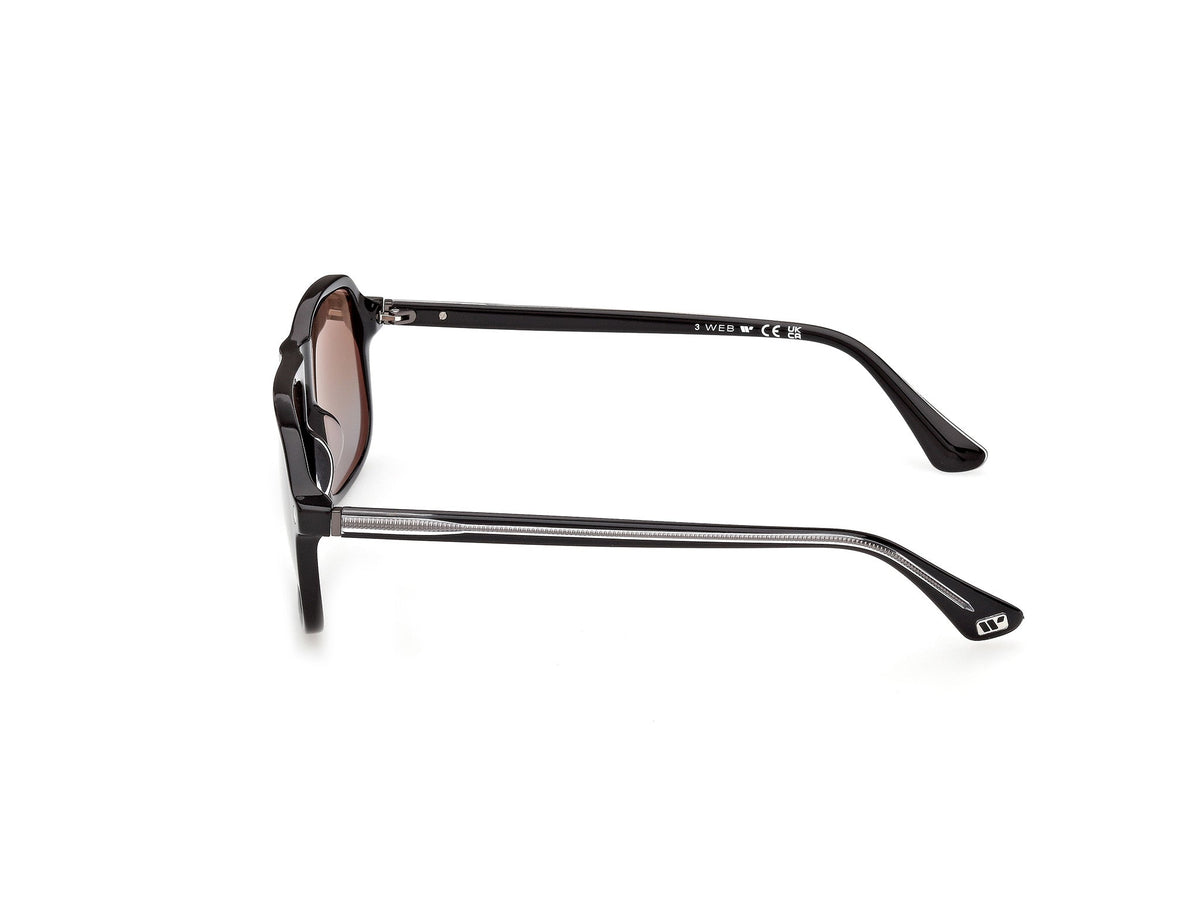 Gafas de Sol Web WE396 05F 56 16