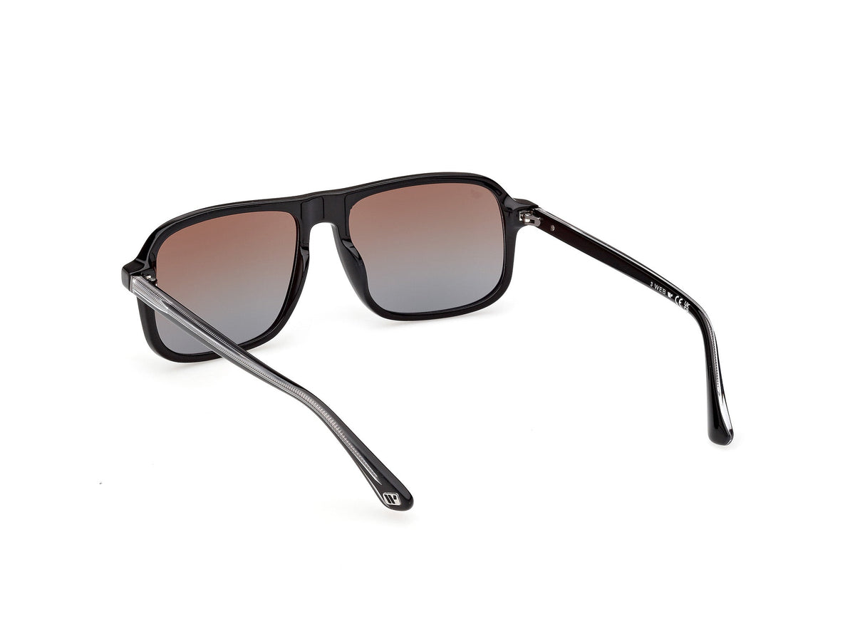 Gafas de Sol Web WE396 05F 56 16