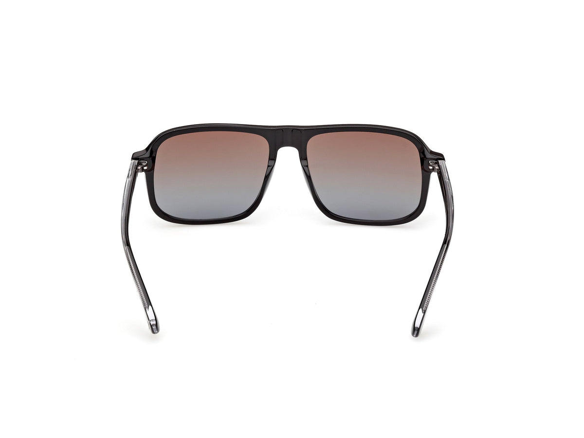 Gafas de Sol Web WE396 05F 56 16