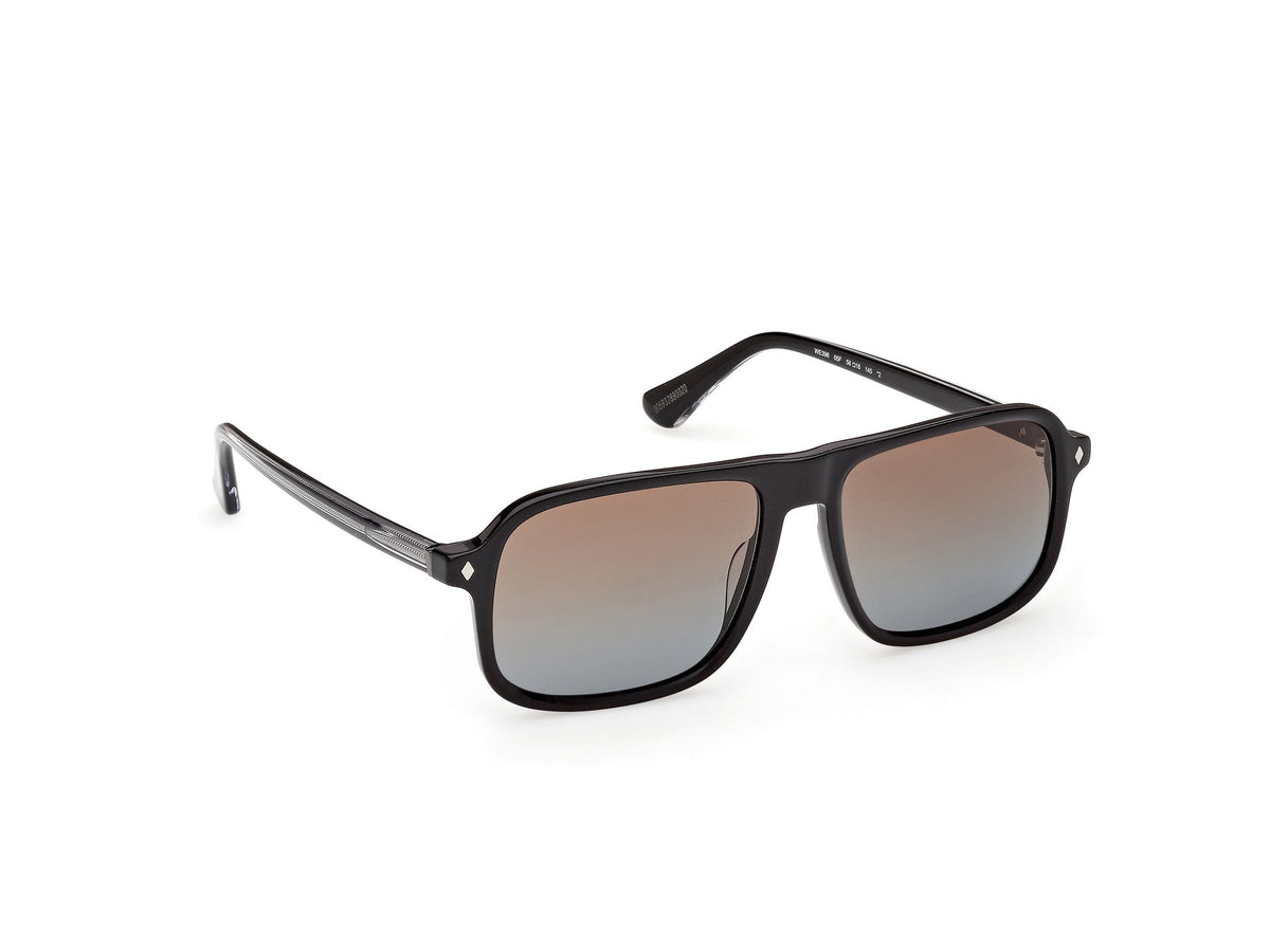 Gafas de Sol Web WE396 05F 56 16