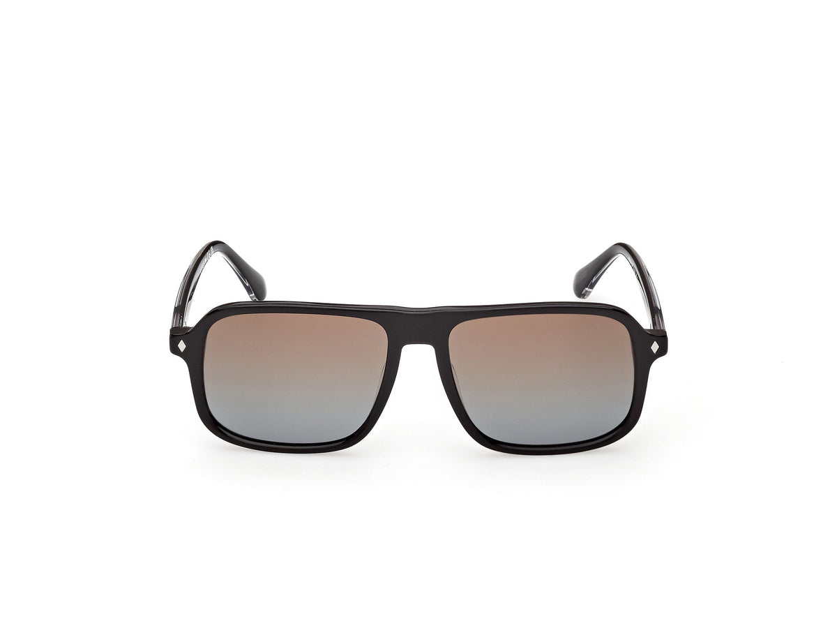 Gafas de Sol Web WE396 05F 56 16