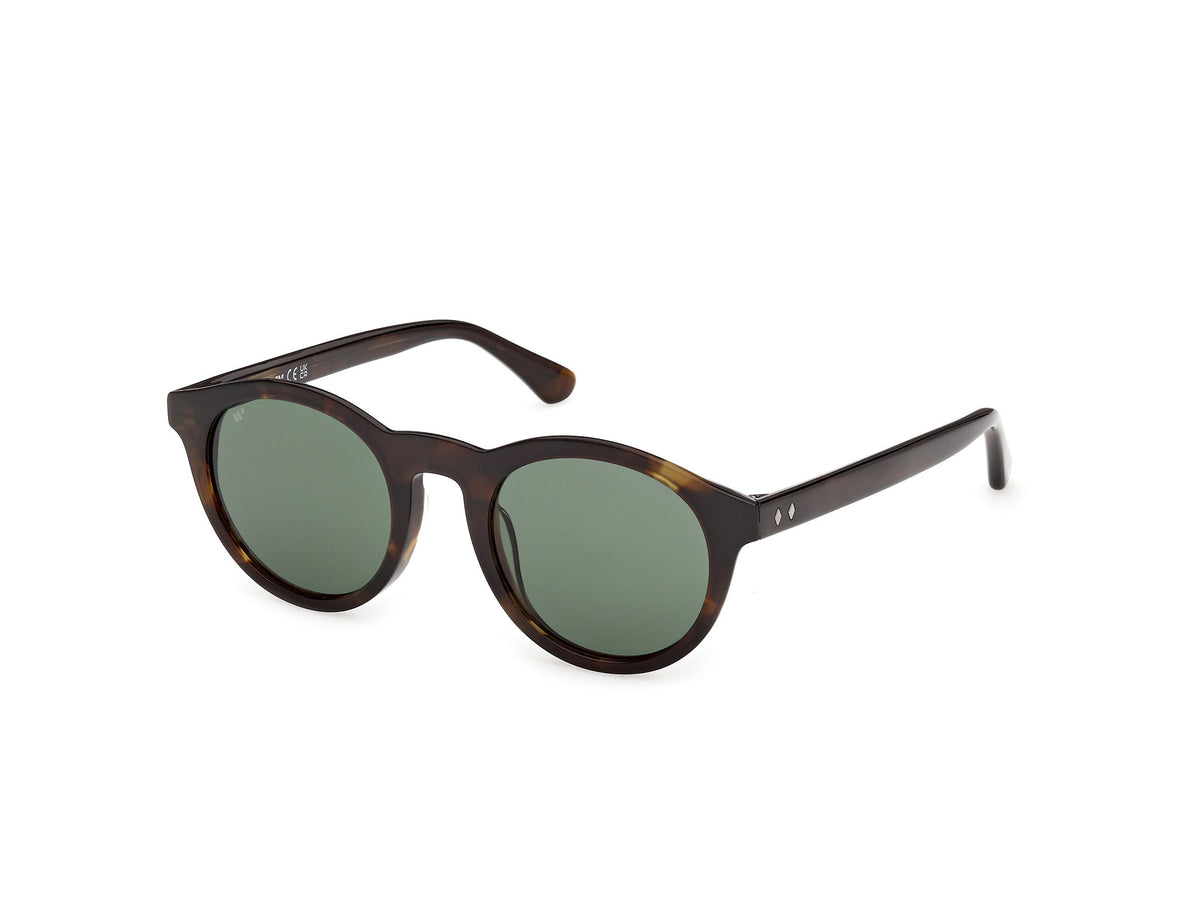 Gafas de Sol Web WE398 52N 50 22