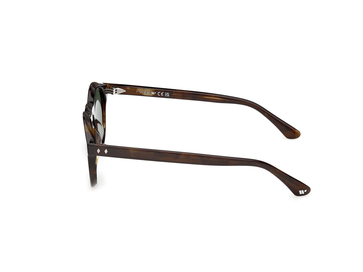 Gafas de Sol Web WE398 52N 50 22
