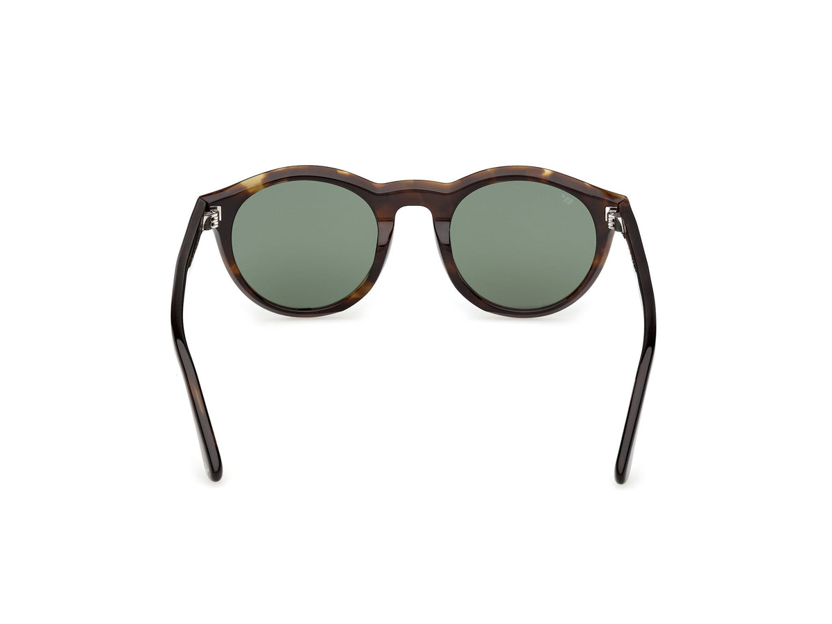 Gafas de Sol Web WE398 52N 50 22