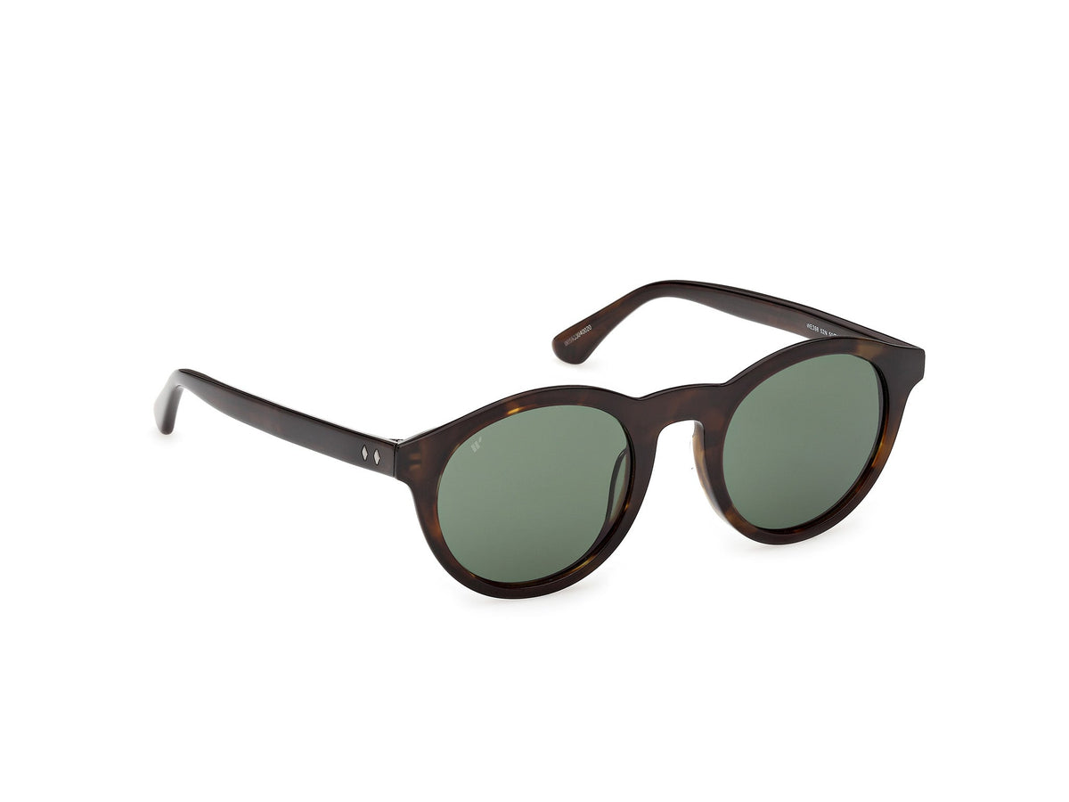 Gafas de Sol Web WE398 52N 50 22
