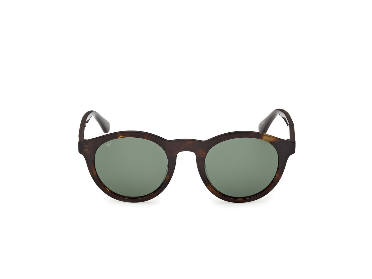 Gafas de Sol Web WE398 52N 50 22