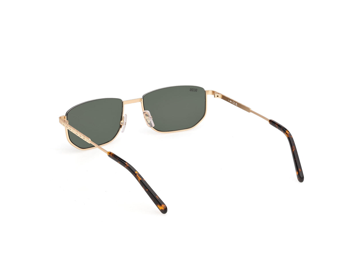 Gafas de Sol GCDS GD79 31N 54 18