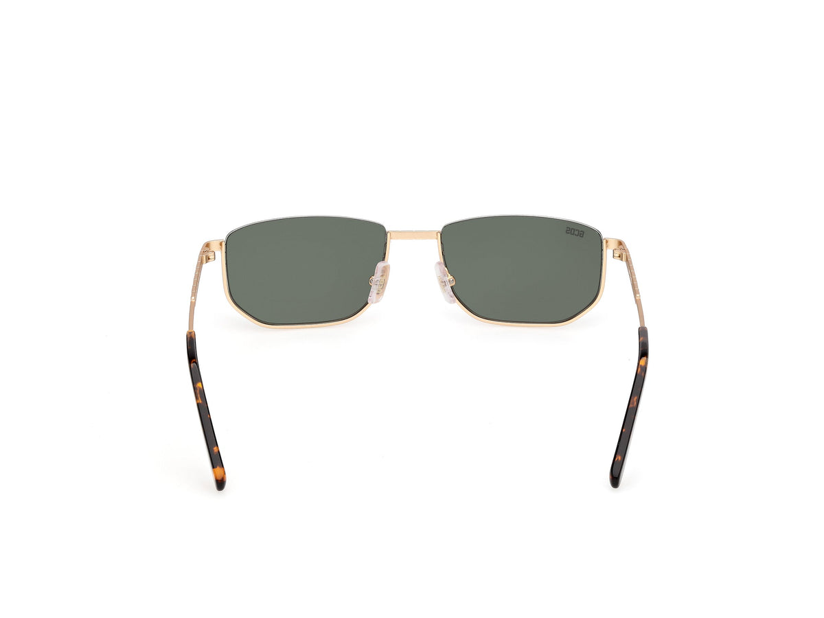 Gafas de Sol GCDS GD79 31N 54 18