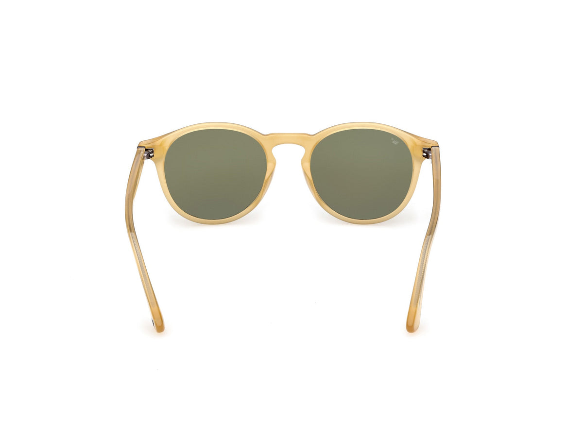 Gafas de Sol Web WE328 41N 50 19