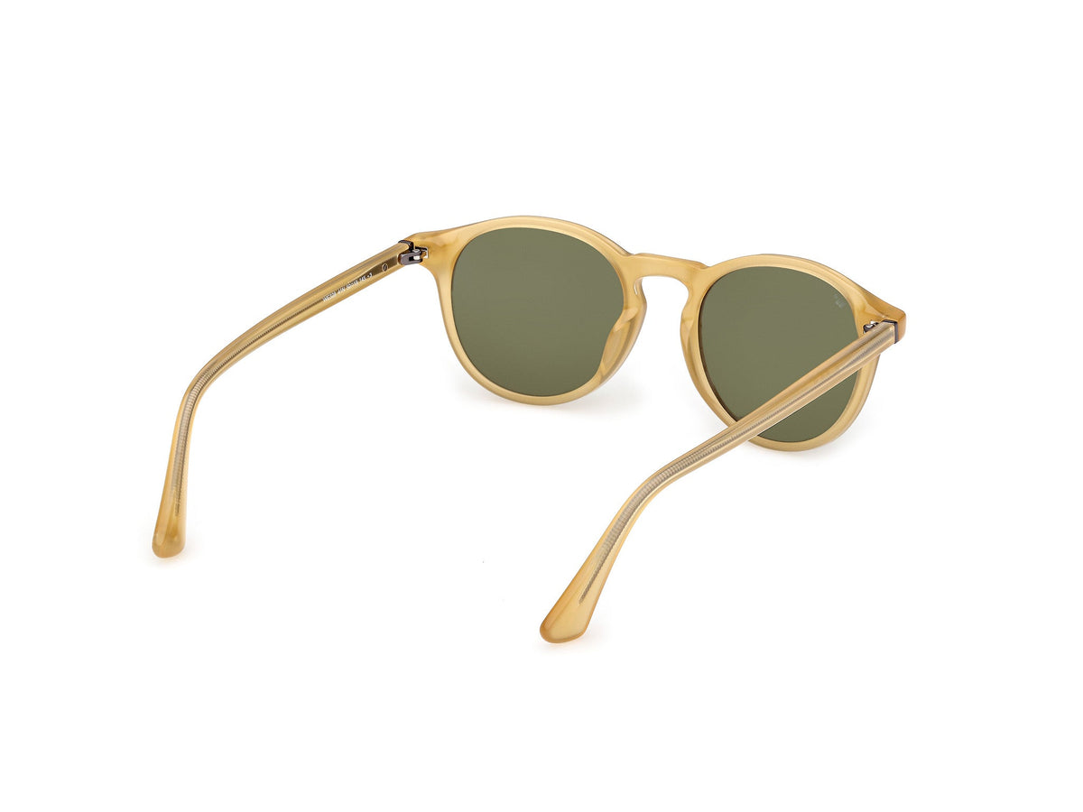 Gafas de Sol Web WE328 41N 50 19