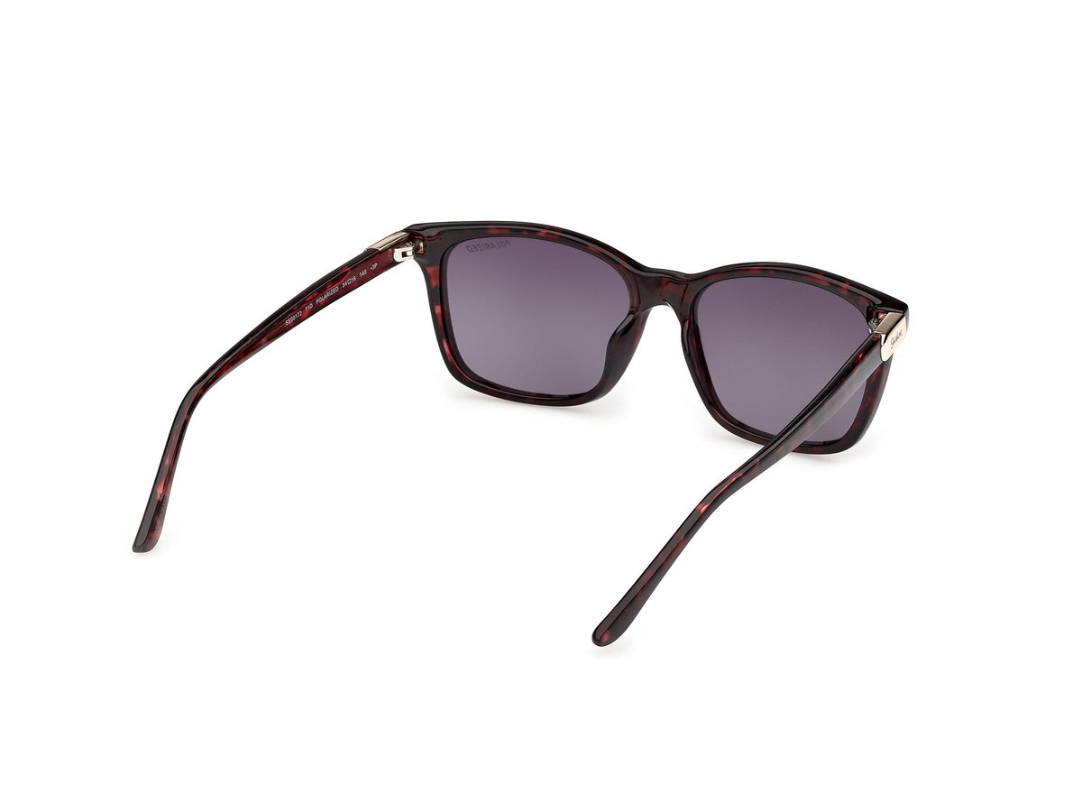 Gafas de Sol Skechers SE172 71D 54 16