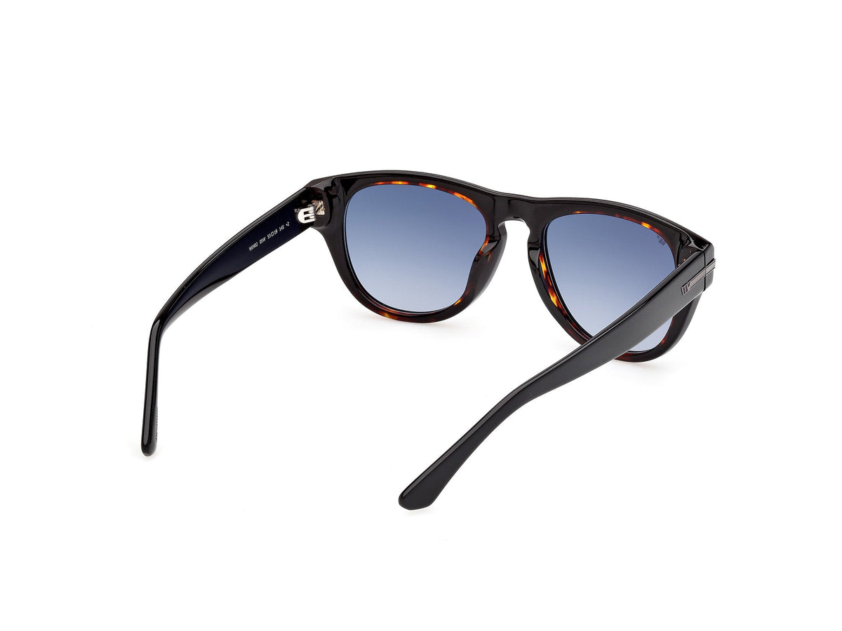 Gafas de Sol Web WE402 05W 53 19