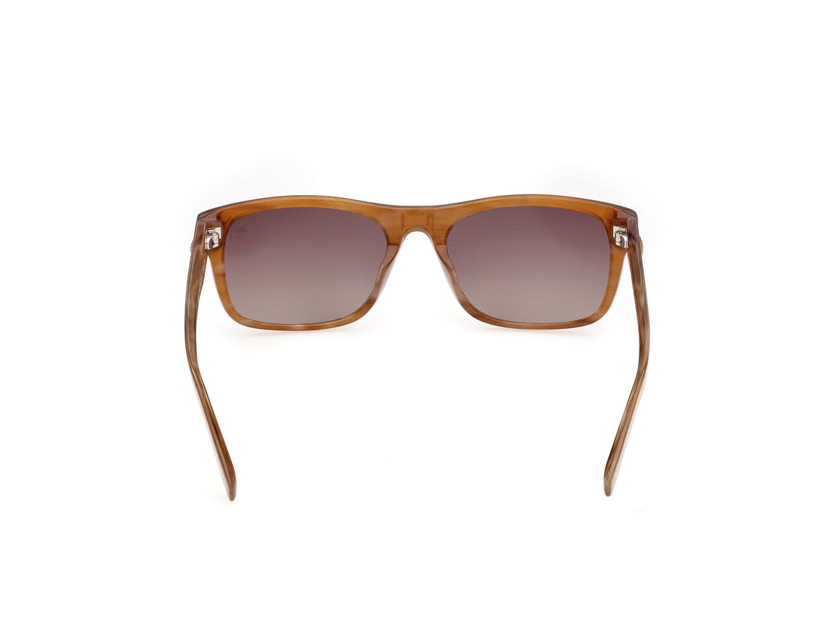 Sunglasses Timberland TB98 62H 56 18