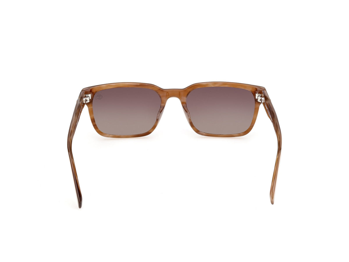Gafas de Sol Timberland TB99 62H 56 18